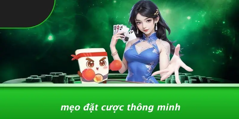 ĐÁ GÀ THOMO HÔM NAY: HƯỚNG DẪN TỪNG BƯỚC CHO NGƯỜI MỚI 3 Mẹo Đặt Cược Thông Minh