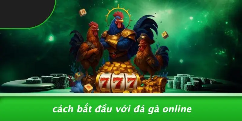 ĐÁ GÀ ONLINE: CÁCH CHINH PHỤC KÈO ĐỈNH VÀ KINH NGHIỆM VÀNG 2 Cách Bắt Đầu Với Đá Gà Online