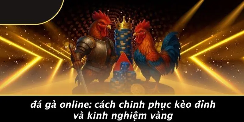 ĐÁ GÀ ONLINE: CÁCH CHINH PHỤC KÈO ĐỈNH VÀ KINH NGHIỆM VÀNG