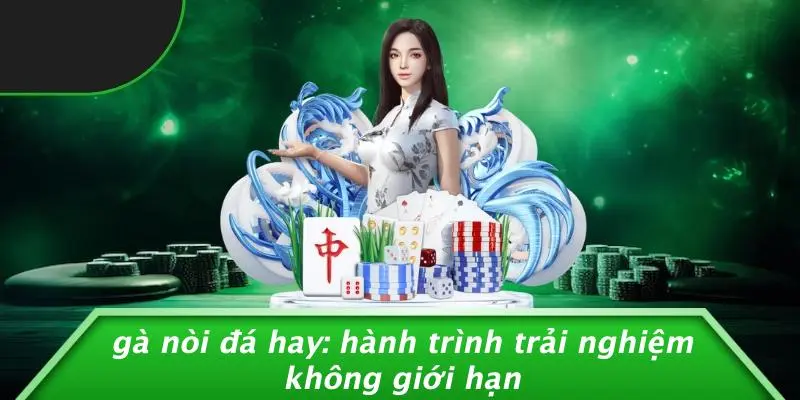 GÀ NÒI ĐÁ HAY: HÀNH TRÌNH TRẢI NGHIỆM KHÔNG GIỚI HẠN