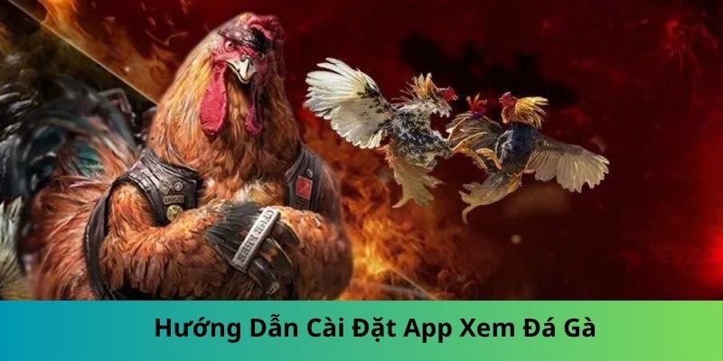 APP XEM ĐÁ GÀ: KHÁM PHÁ TRẢI NGHIỆM KỊCH TÍNH MỌI LÚC 2 Hướng Dẫn Cài Đặt App Xem Đá Gà