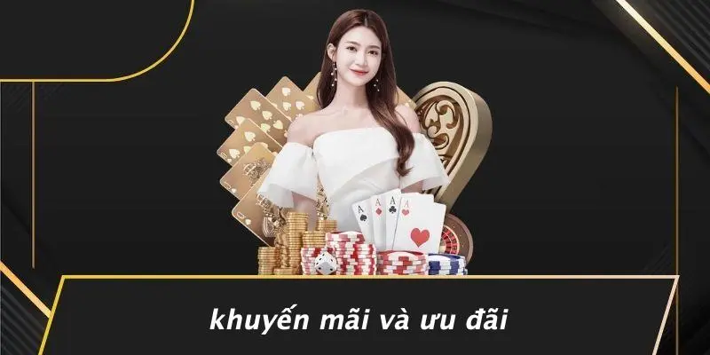 ĐÁ GÀ RỒNG: HUYỀN THOẠI SÂN CHIẾN KHÔNG THỂ BỎ QUA 5 Khuyến Mãi Và Ưu Đãi