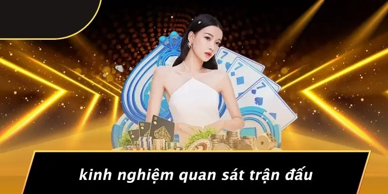 ĐÁ GÀ RỒNG: HUYỀN THOẠI SÂN CHIẾN KHÔNG THỂ BỎ QUA 3 Kinh Nghiệm Quan Sát Trận Đấu