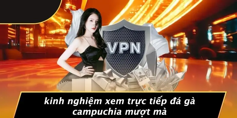 TRỰC TIẾP ĐÁ GÀ CAMPUCHIA: CÁCH XEM CHẤT LƯỢNG HD MƯỢT MÀ 3 Kinh Nghiệm Xem Trực Tiếp Đá Gà Campuchia Mượt Mà