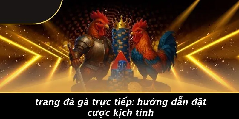 TRANG ĐÁ GÀ TRỰC TIẾP: HƯỚNG DẪN ĐẶT CƯỢC KỊCH TÍNH