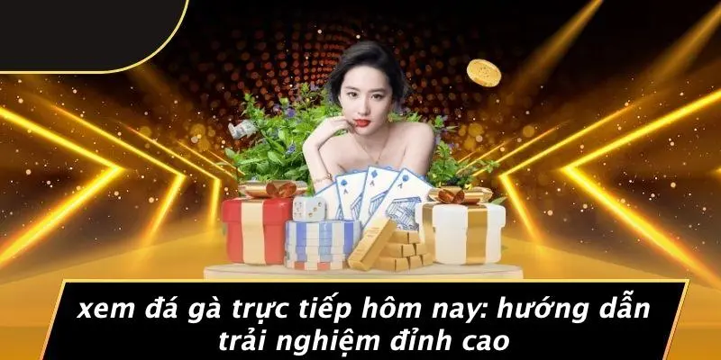 XEM ĐÁ GÀ TRỰC TIẾP HÔM NAY: HƯỚNG DẪN TRẢI NGHIỆM ĐỈNH CAO